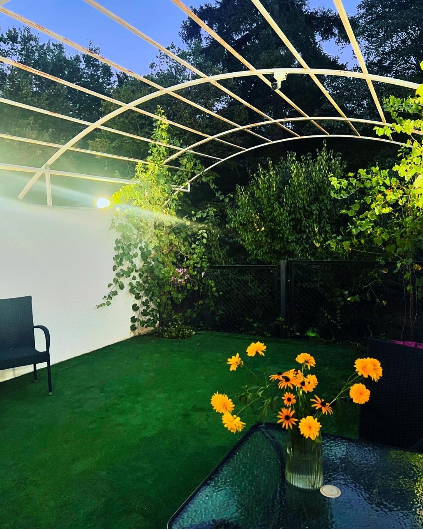 Likani Home ボルジョミ エクステリア 写真